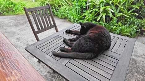 a black cat grooming itself on a wooden table in a garden