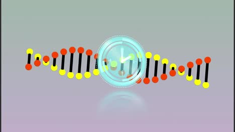 Animation-of-clock-running-against-dna-structure-with-circle-on-gray-digital-interface
