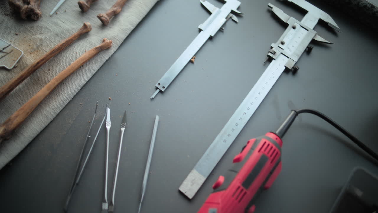 análisis de muestras arqueológicas