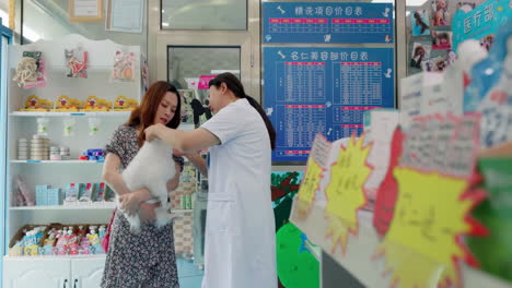 animal doctor in uniform talking to owner of pet about for consultation, visit or pet insurance. animal, wellness mature veterinarian with client for advice, conversation medical assessment in clinic