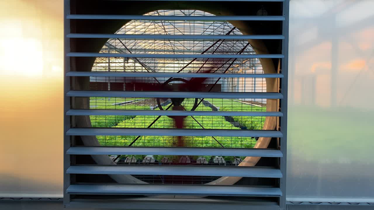 большой вентилятор работает, чтобы вентилировать органический овощный сад.