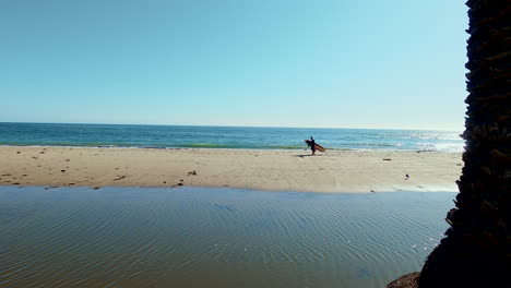 Reveal-of-surfer-walking-along-beach-with-surfboard-behind-palm-tree