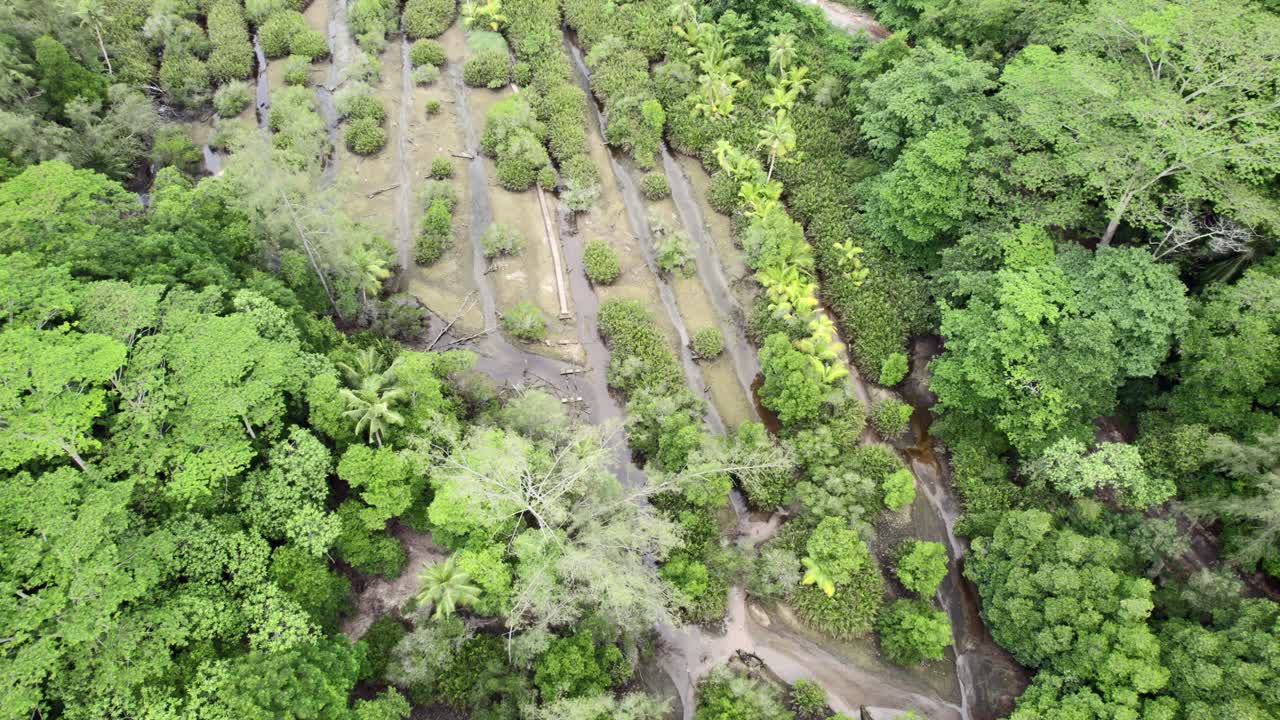 마헤, 세이셸 시네마틱 드론은 해안 근처의 무성한 초목 위에 있는 여러 개의 작은 강을 뒤로 쐈습니다.