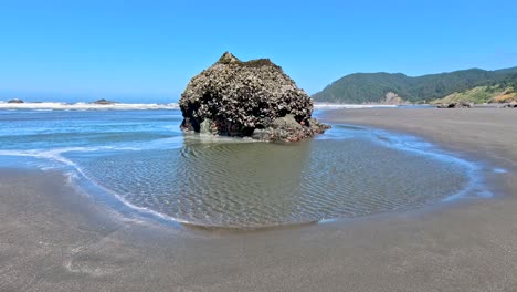 large coral rock sits on pacific ocean beach