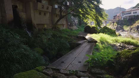 在日本吉福省古佐哈奇曼 (gujo hachiman) 的約希達河 (yoshida river) 沿岸,