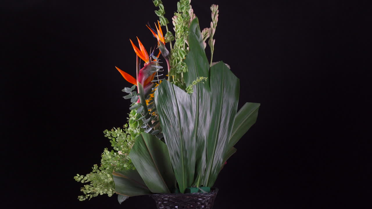 검은 배경 해바라기 장미 데이지 백합 낙원에서 회전하는 열대 꽃꽂이