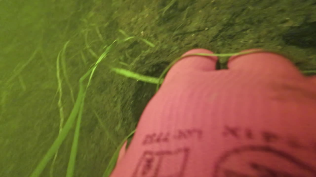 호수 바닥에서 쓰레기를 뽑는 다이버, 빈곤 전망