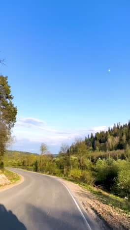 scenic country road with forest and river