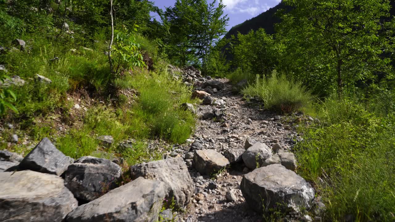 Arnavutluk dağlarında yürüyüş yolu, kayalık yamaç ve Alpler'in yeşil vahşi ormanı
