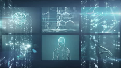 digital dna strand and brain graphics over futuristic data processing animation
