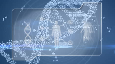 study of human dna