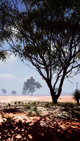 un paisaje desértico con árboles en la distancia