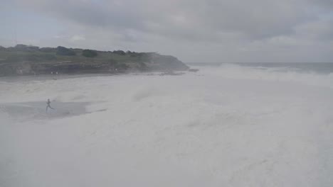 teasing the waves - clovelly beach - sydney australia