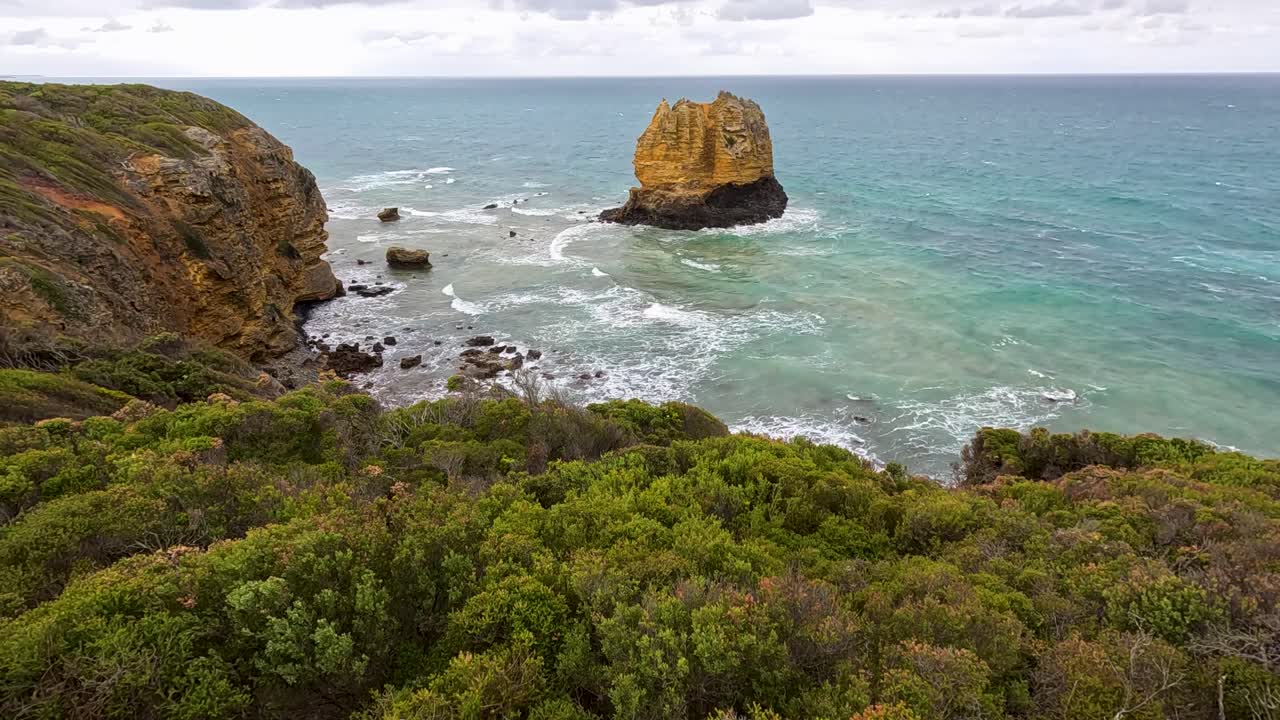 Aerial camera glides over dense coastal shrubland, revealing dramatic cliffs, turquoise ocean, and a prominent sea stack under overcast daylight