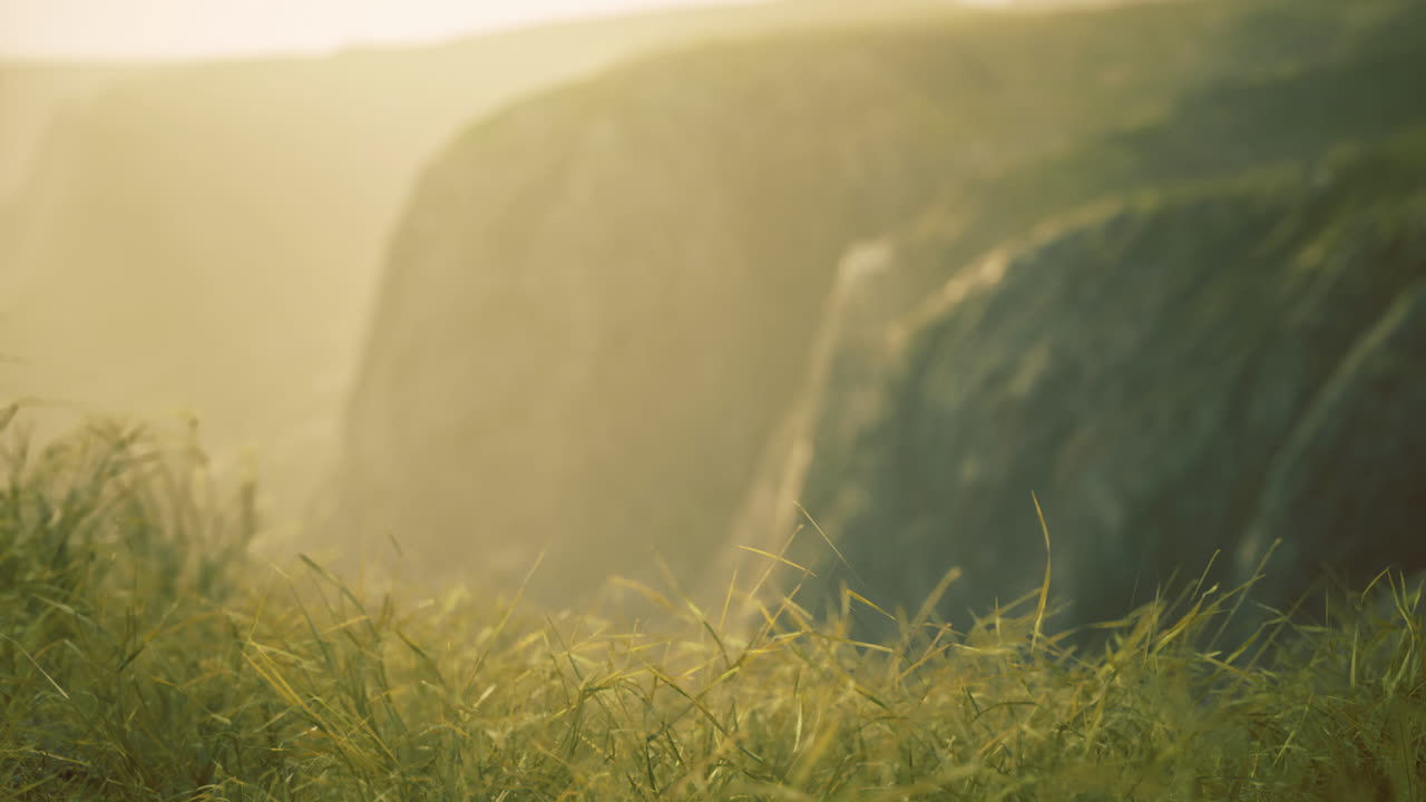 Sunset light illuminating green grass at cliff edge along coastal landscape
