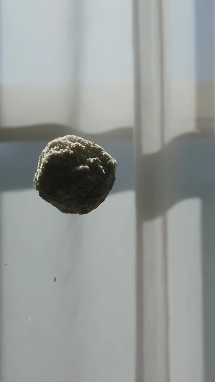 Video verticale: Grumo testurizzato rotante aggrappato a un pannello di vetro vicino a una tenda trasparente, rivelato dalla luce del sole.