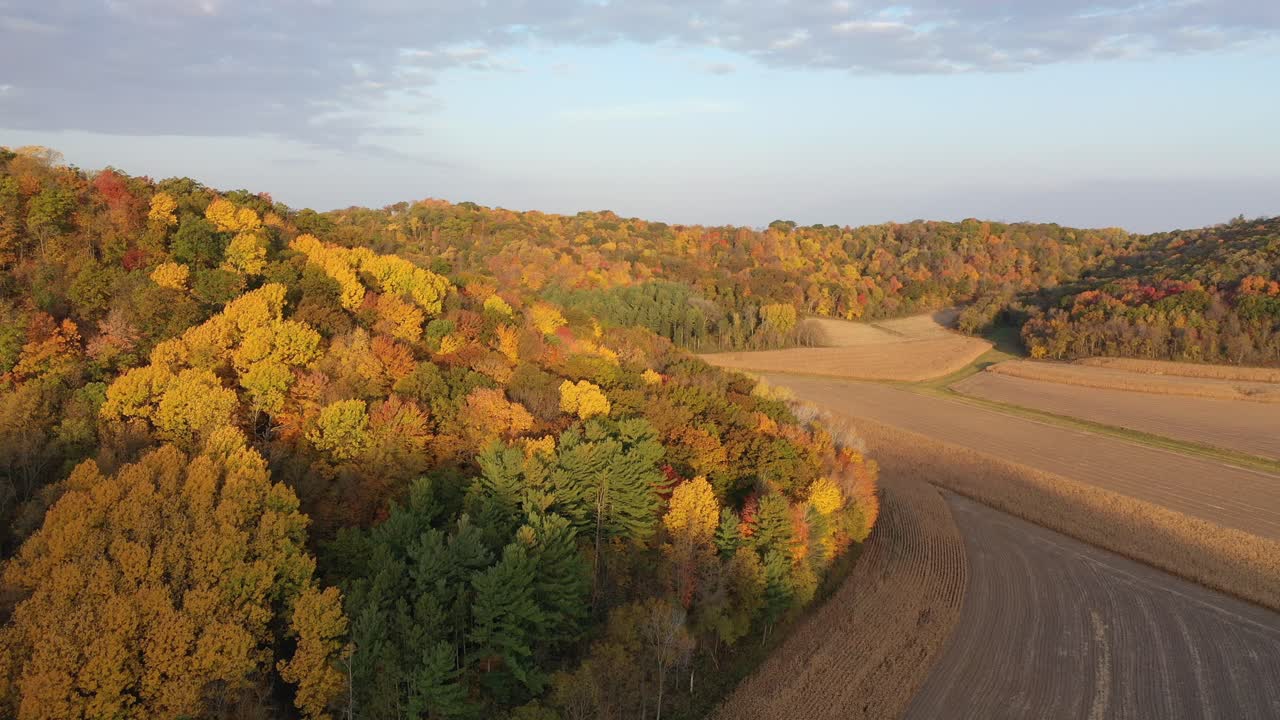 colinas de otoño y campos de maíz