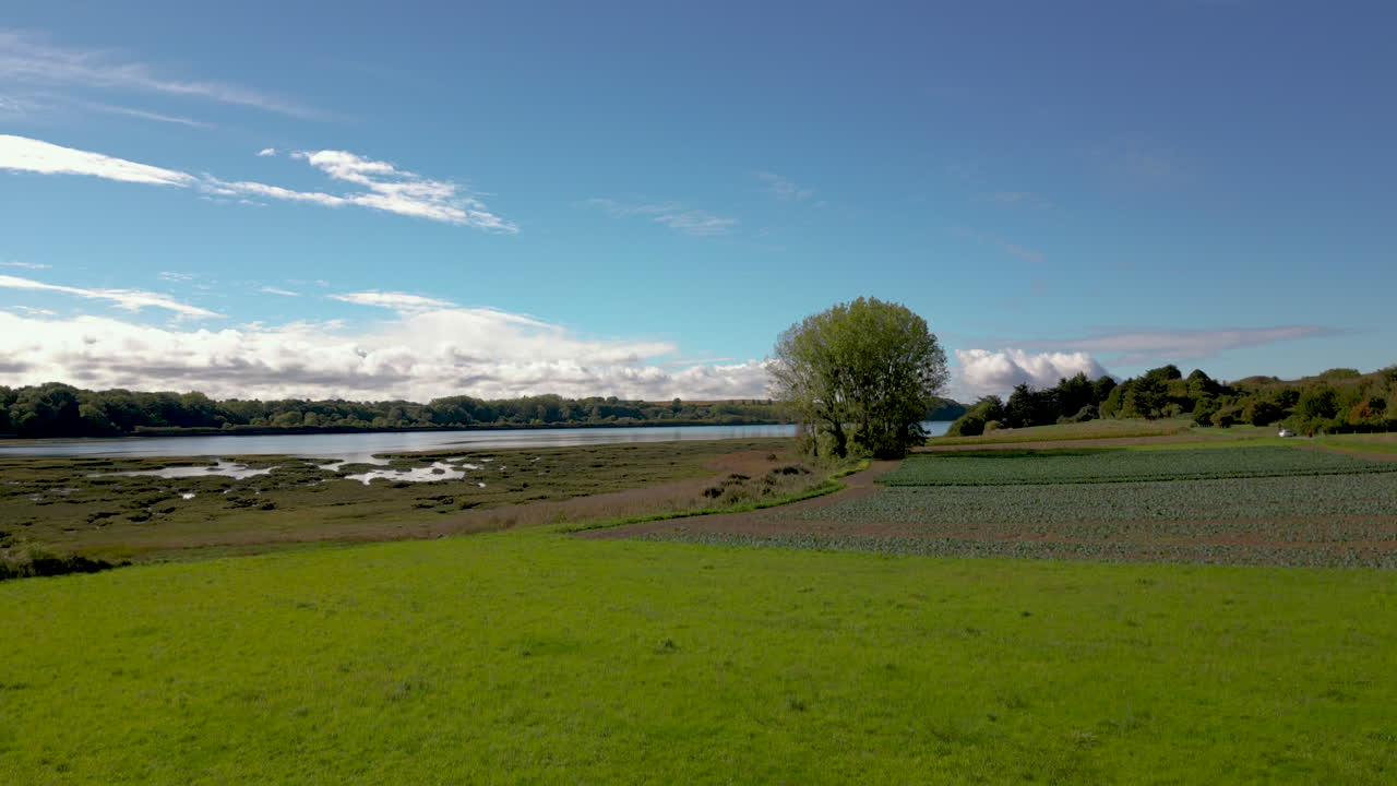 백그라운드에서 goutte 스트림과 함께 녹색 필드에서 상승하는 공중 드론, 프랑스 브리타니 poulet의 saint pere marc에서 les gastines