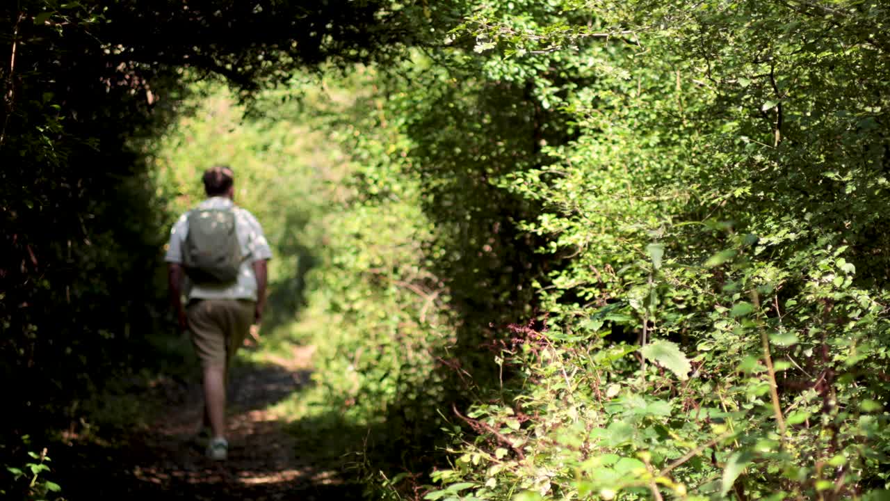 un hombre camina por un camino de bosque exuberante