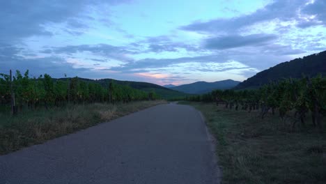 Dusk-Sets-in-Riquewihr-Village-Outskirts