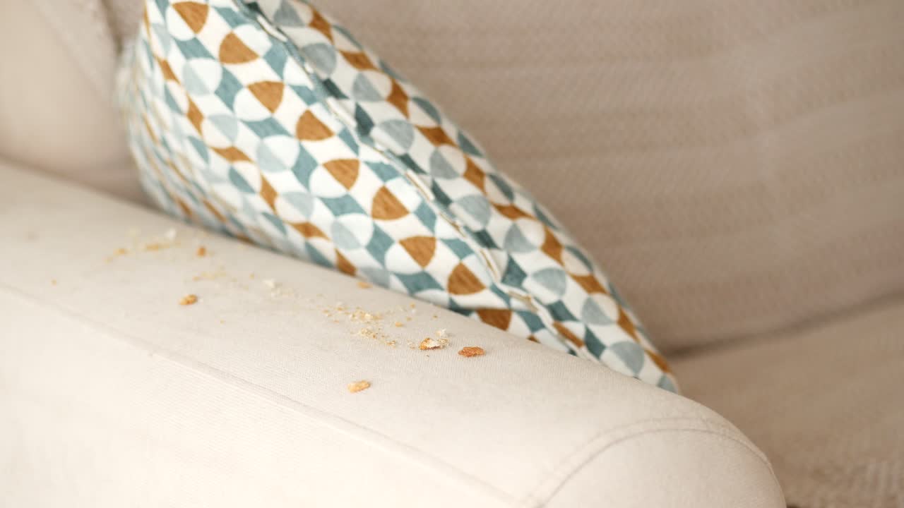 limpiando un sofá con una aspiradora