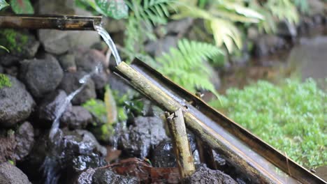 balancín de bambú utilizando una fuente o agua corriente