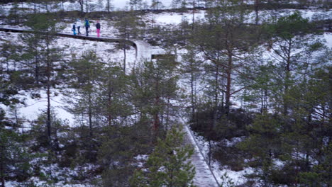 view of viru bog from observation tower in winter with unrecognizable family walking on icy path