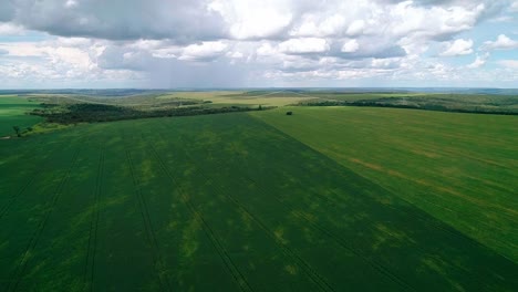 aerial, sustainable earth, farming land brazil, countryside scenery