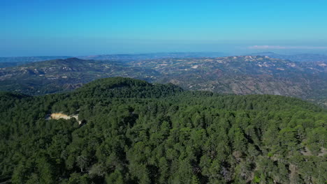 drone flight over the wooded mountains overgrown with pine trees on the island of cyprus