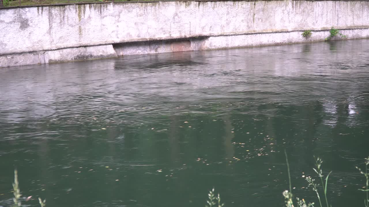 태양 광선 반사와 함께 강의 순수한 물 표면, 명상에 좋은 평온한 장면.