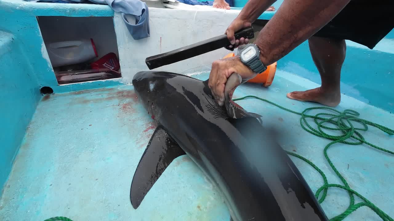 Man wrestles large fish on a small boat in open ocean as fishing gear and supplies surround him