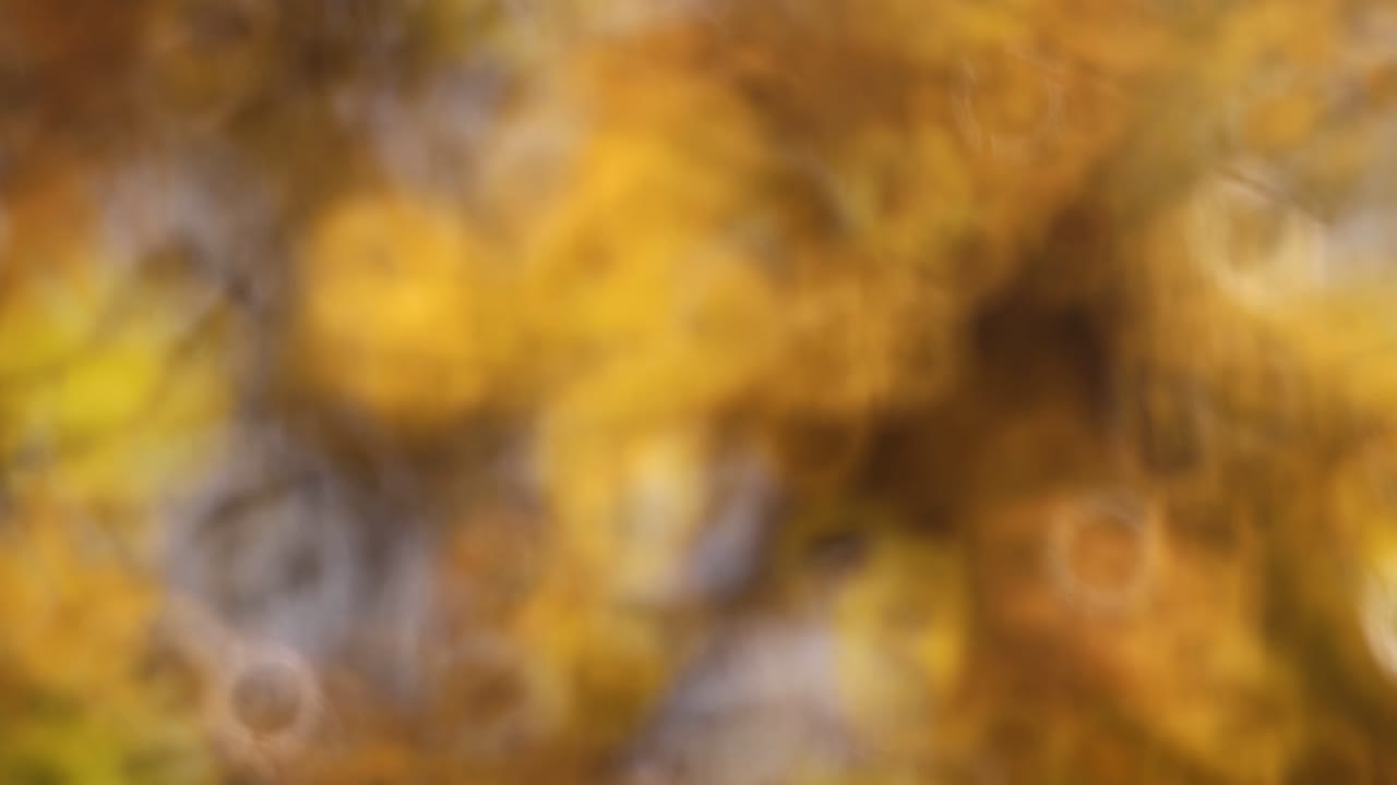 redonda en forma de rosquilla abstracta lente de espejo bokeh círculos parpadeando naturalmente. video de transición de fondo, tiempo real, no hay gente