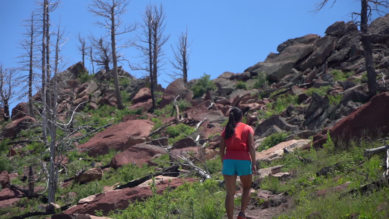 다시보기, 화창한 날에 오르막을 하이킹하는 젊은 여성