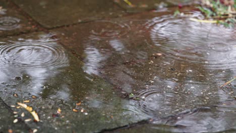raindrops fall in super slow motion, creating ripples as they strike a shallow pool of water, revealing intricate water movement.
