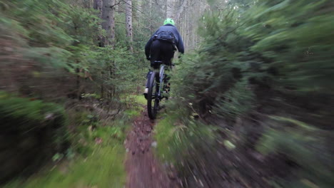Slow-Motion-of-Mountain-Biker-Riding-Bycicle-in-a-Natural-Forest-Path,-Tracking-Action-Shot