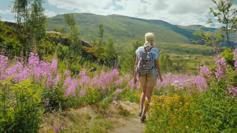 an active woman walks through a beautiful valley among flowering flowers against the backdrop of mou