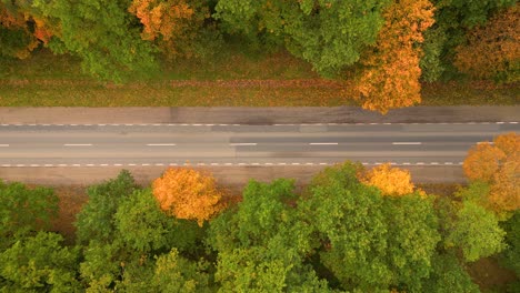 Vista-Aérea-Sobre-La-Carretera-En-El-Bosque-En-Otoño-Con-Coches