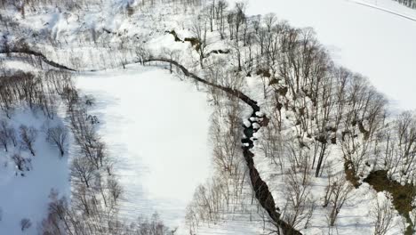 The-beautiful-winter-in-Niseko