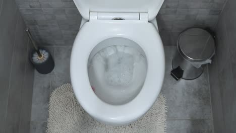a top-down view of a toilet being flushed in a modern bathroom. the scene includes a toilet brush, a small trash bin, and a textured bath mat, creating a clean and organized space.