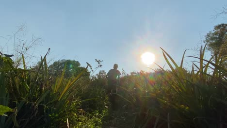 Young-man-wondering-through-high-grass-vegetation,-slow-motion,-low-angle