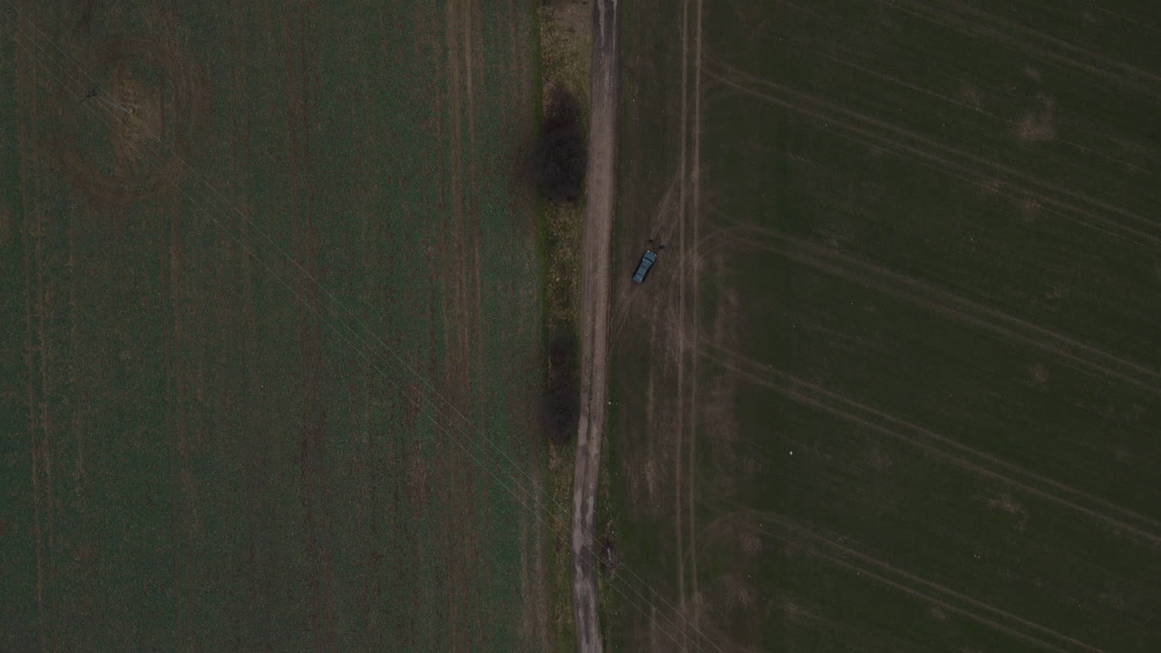 전선이 있는 들판을 도는 숲길 위를 날다