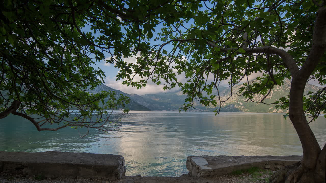 코토르 베이틀 4k 06