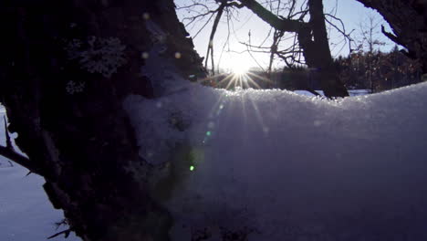 Footage-of-a-beautiful,-snowy,-pine-forest-in-the-mountains-during-the-winter-9