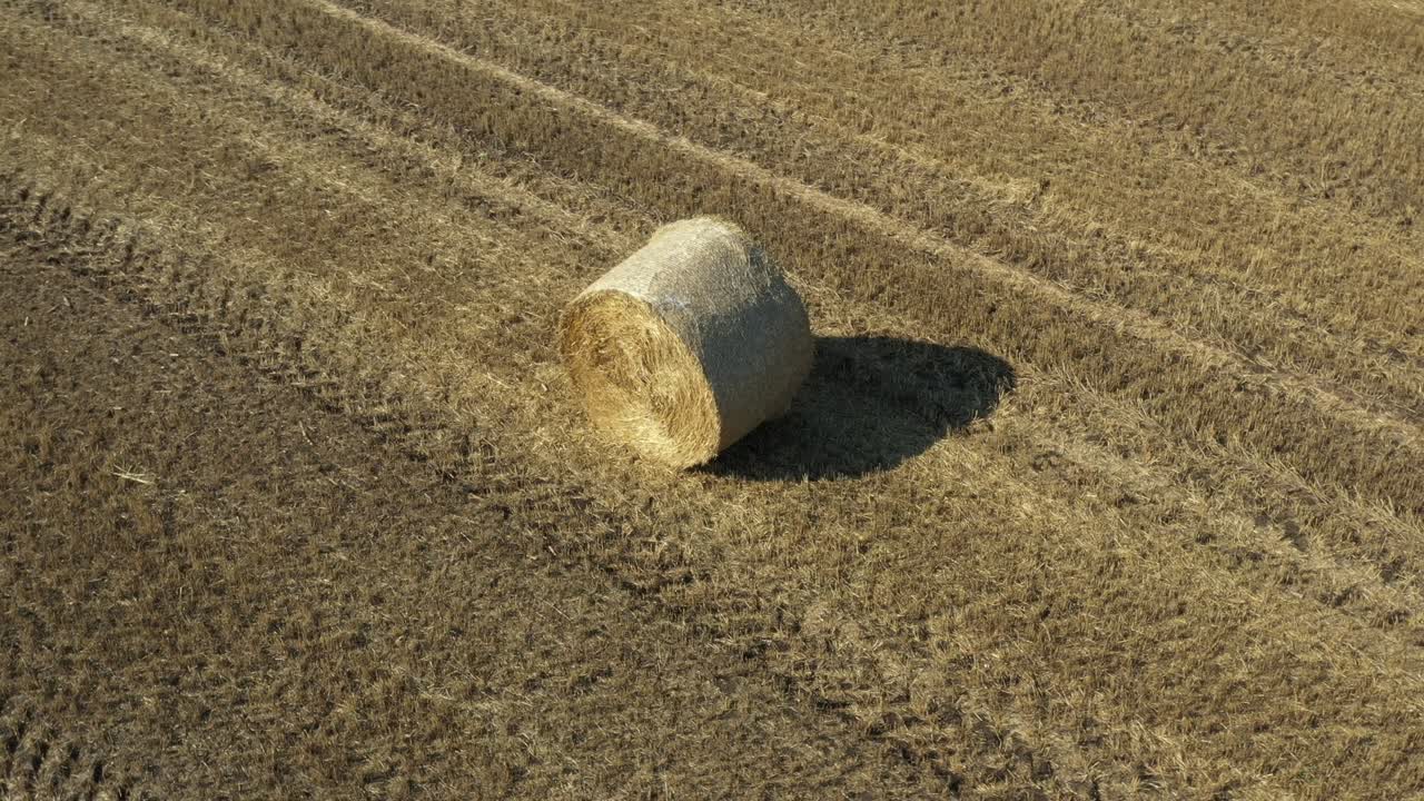 vista en círculo de la bala redonda de paja en el campo agrícola