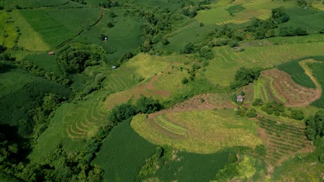 4k cinematic nature aerial drone footage of the beautiful mountains and paddy fields of ban pa pong piang at doi ithanon next to chiang mai, thailand on a sunny day