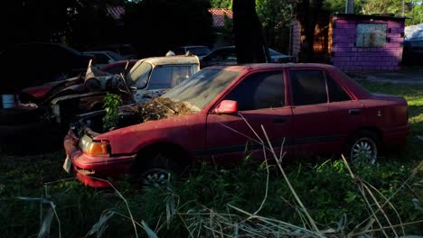 coches abandonados en uno de los depósitos de chatarra de paraguay