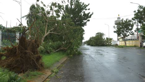 unrooted tree by wet road consequence and damage
