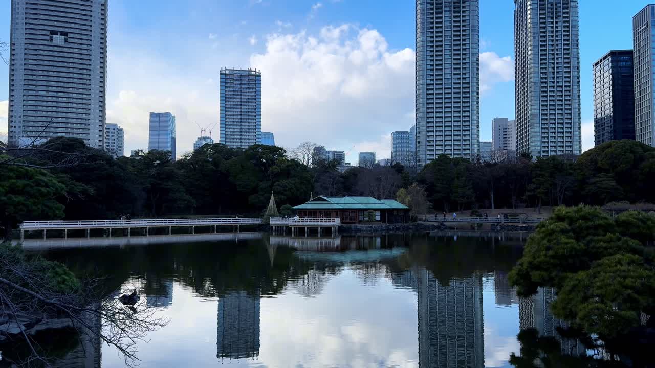A serene Japanese garden pond with city skyscrapers in the background