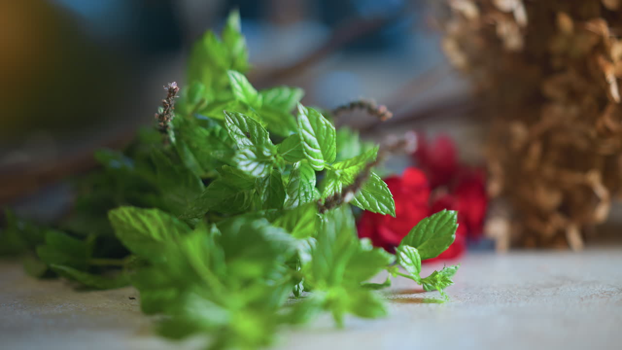 Menta fresca e lamponi sul bancone, cuoco casalingo che prepara una guarnizione con rametti e steli, luce naturale soffusa, bassa profondità di campo, contrasto vibrante di verde e rosso, atmosfera rustica e accogliente.