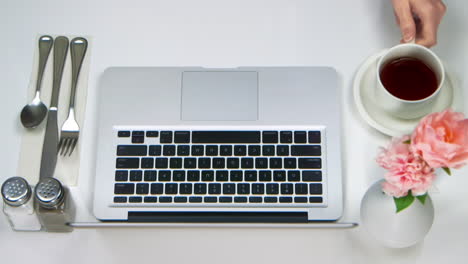 [camera used: canon c300] caucasian woman typing on laptop at a cafe